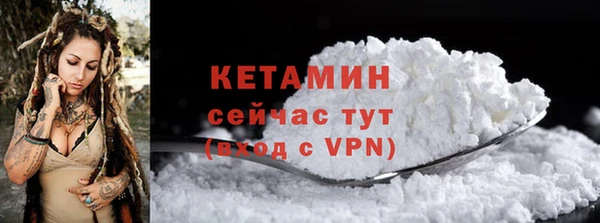 прущие грибы Бронницы