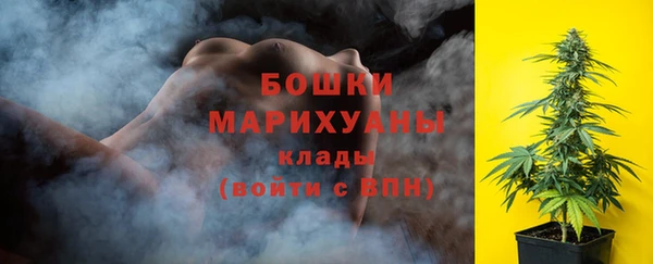 прущие грибы Бронницы