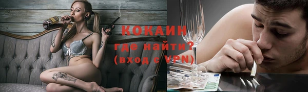 прущие грибы Бронницы