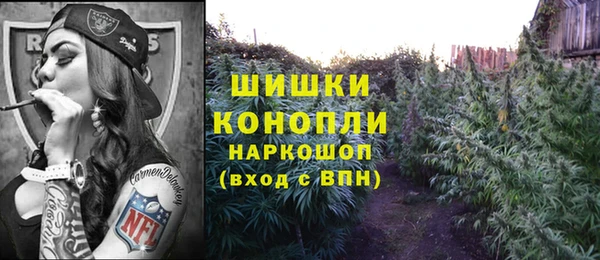 прущие грибы Бронницы