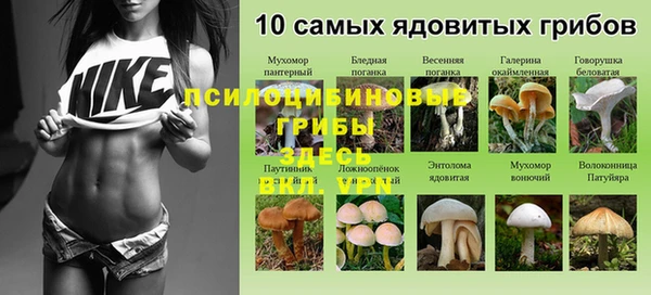 прущие грибы Бронницы