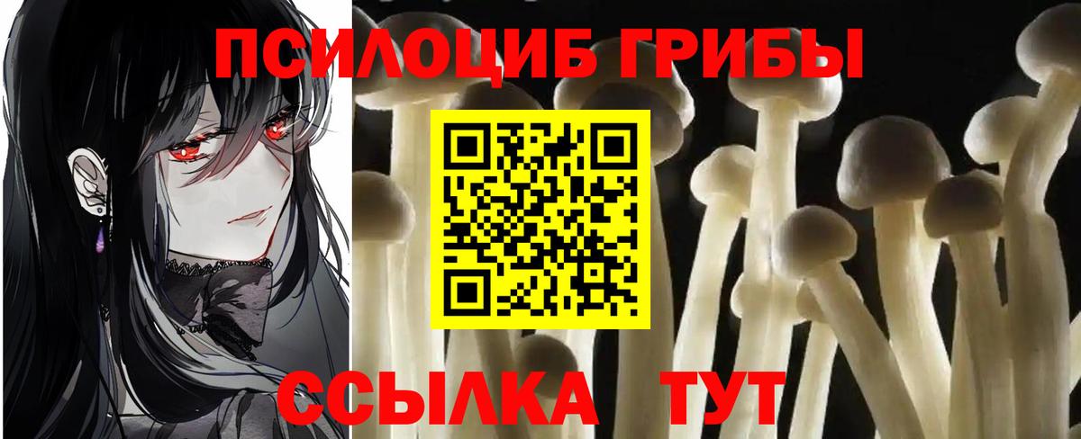 Петропавловск-Камчатский  Галлюциногенные грибы мухоморы  Вход с VPN 